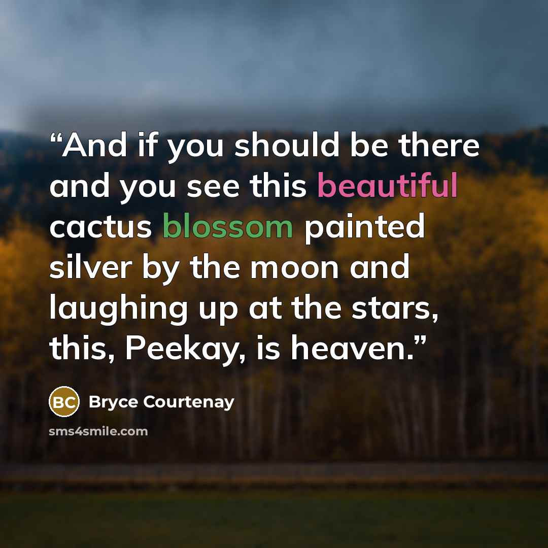 “And if you should be there and you see this beautiful cactus blossom painted silver by the moon and laughing up at the stars, this, Peekay, is heaven.” quote by Bryce Courtenay