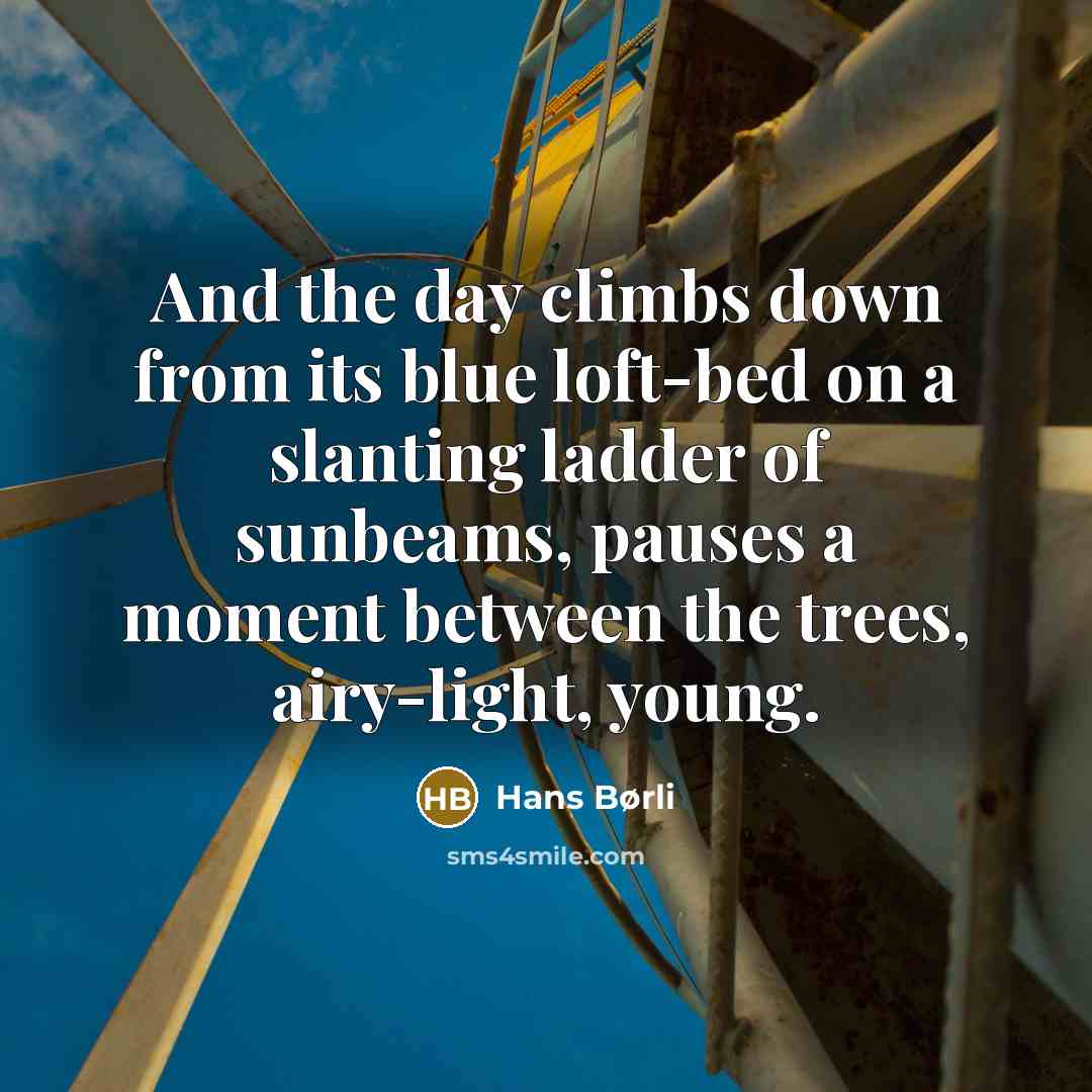 “And the day climbs down from its blue loft-bed on a slanting ladder of sunbeams, pauses a moment between the trees, airy-light, young.” quote by Hans Børli