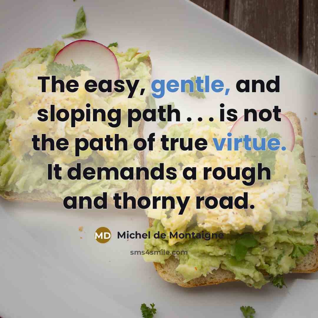 “The easy, gentle, and sloping path . . . is not the path of true virtue. It demands a rough and thorny road.” quote by Michel de Montaigne