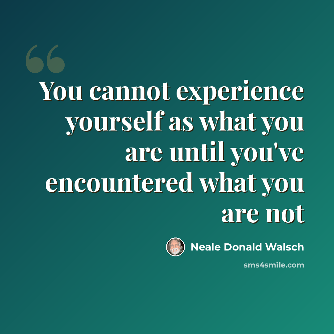 “You cannot experience yourself as what you are until you've encountered what you are not” quote by Neale Donald Walsch