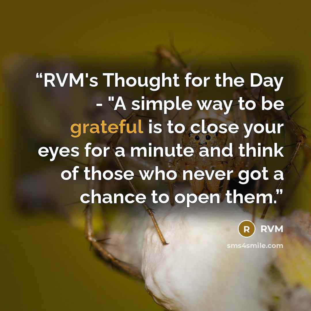“RVM's Thought for the Day - "A simple way to be grateful is to close your eyes for a minute and think of those who never got a chance to open them.” quote by RVM