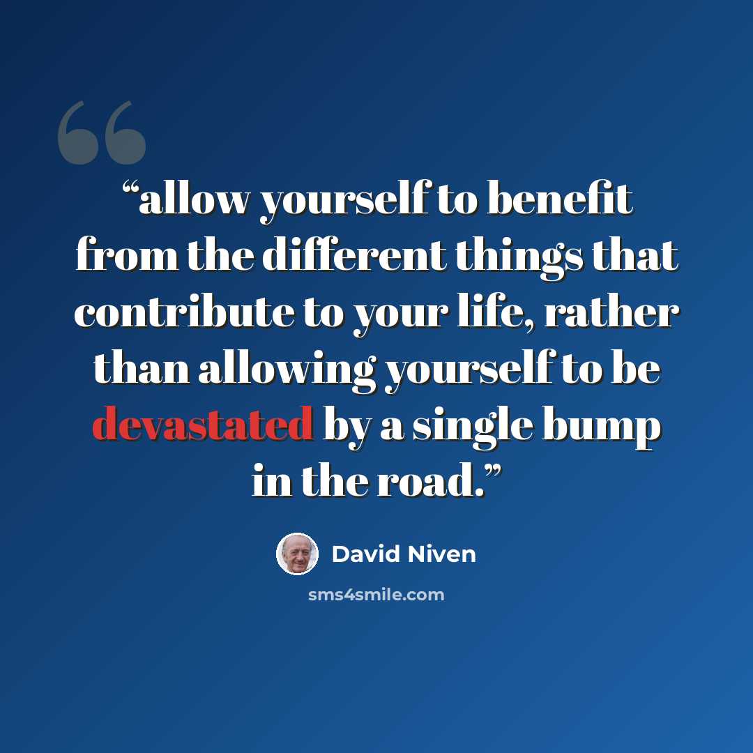 “allow yourself to benefit from the different things that contribute to your life, rather than allowing yourself to be devastated by a single bump in the road.” quote by David Niven