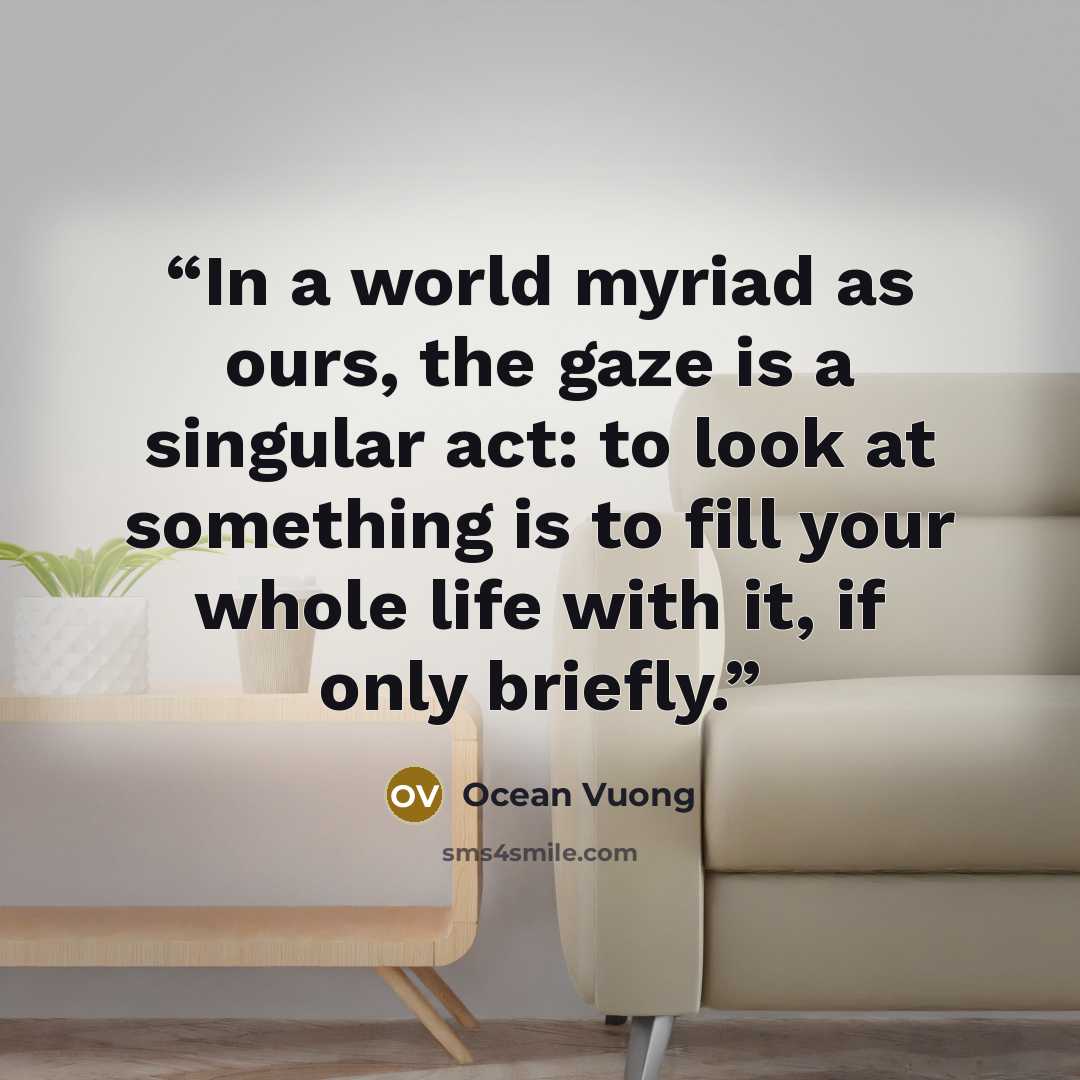 “In a world myriad as ours, the gaze is a singular act: to look at something is to fill your whole life with it, if only briefly.” quote by Ocean Vuong