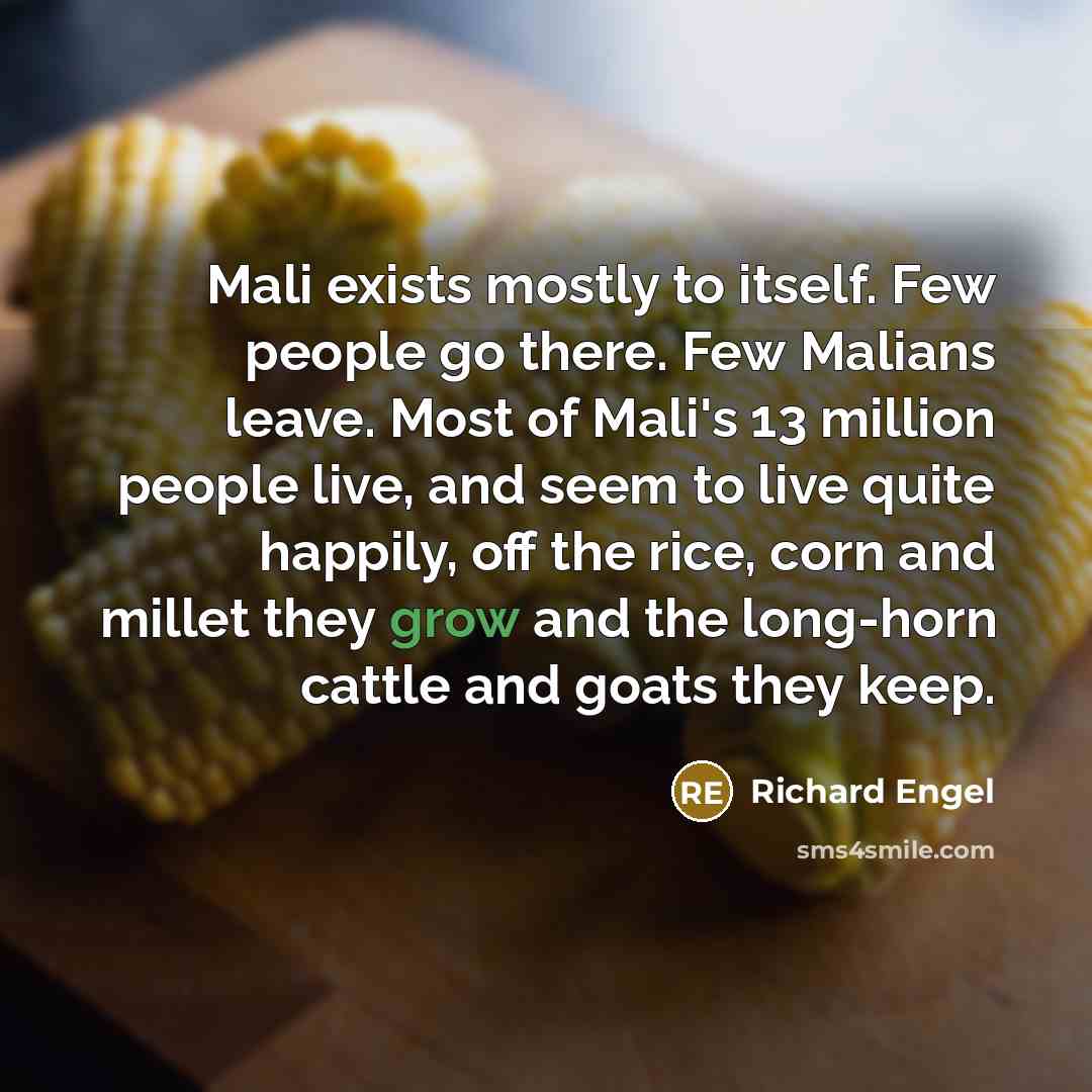 “Mali exists mostly to itself. Few people go there. Few Malians leave. Most of Mali's 13 million people live, and seem to live quite happily, off the rice, corn and millet they grow and the long-horn cattle and goats they keep.” quote by Richard Engel