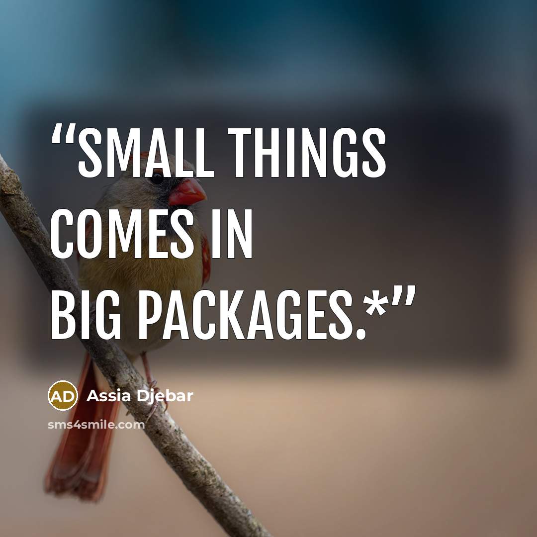 “small things comes in big packages.*” quote by Assia Djebar
