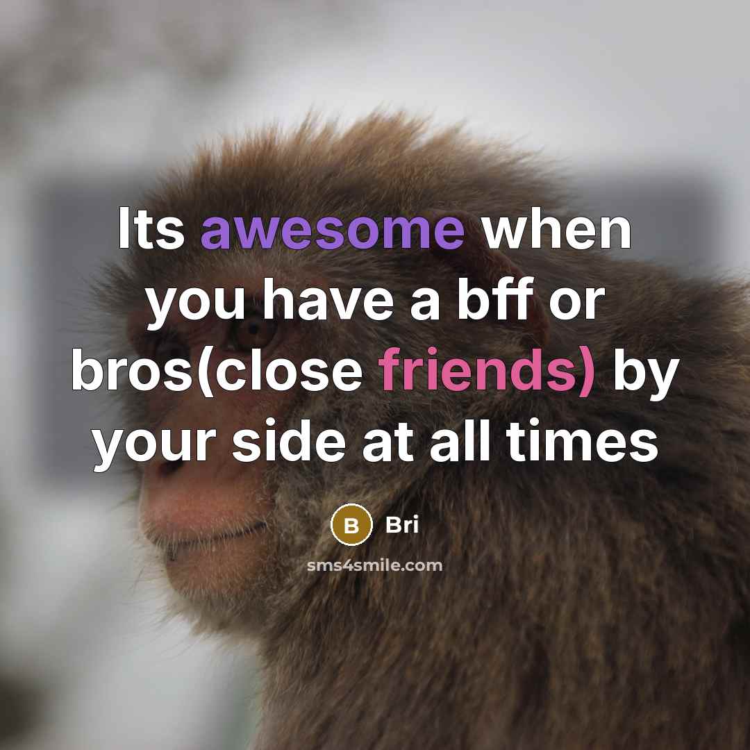 “Its awesome when you have a bff or bros(close friends) by your side at all times” quote by Bri