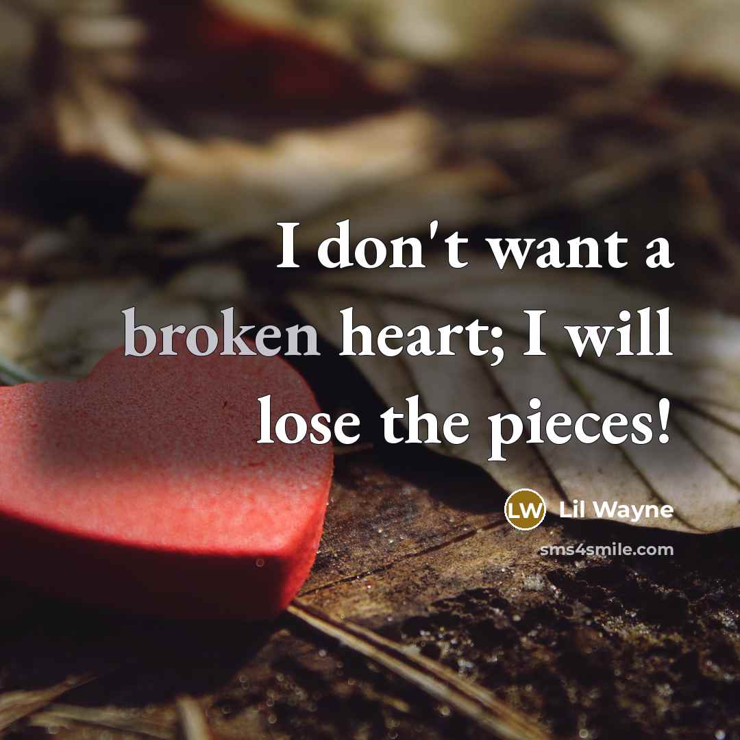 “I don't want a broken heart; I will lose the pieces!” quote by Lil Wayne