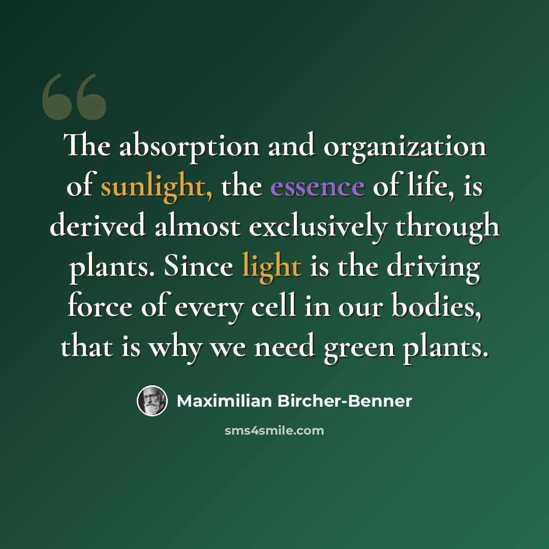 “The absorption and organization of sunlight, the essence of life, is derived almost exclusively through plants. Since light is the driving force of every cell in our bodies, that is why we need green plants.” quote by Maximilian Bircher-Benner