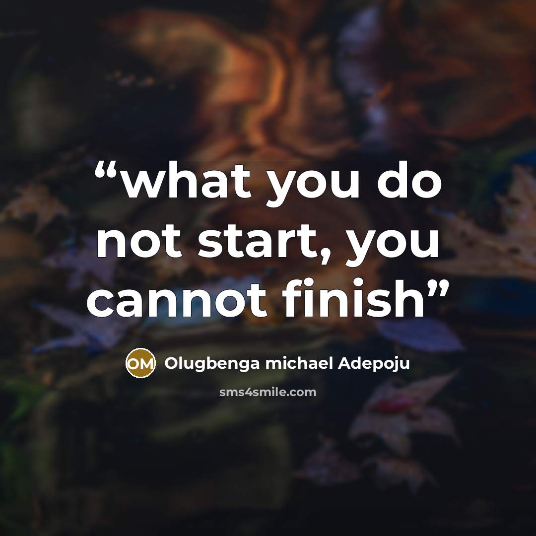 “what you do not start, you cannot finish” quote by Olugbenga michael adepoju