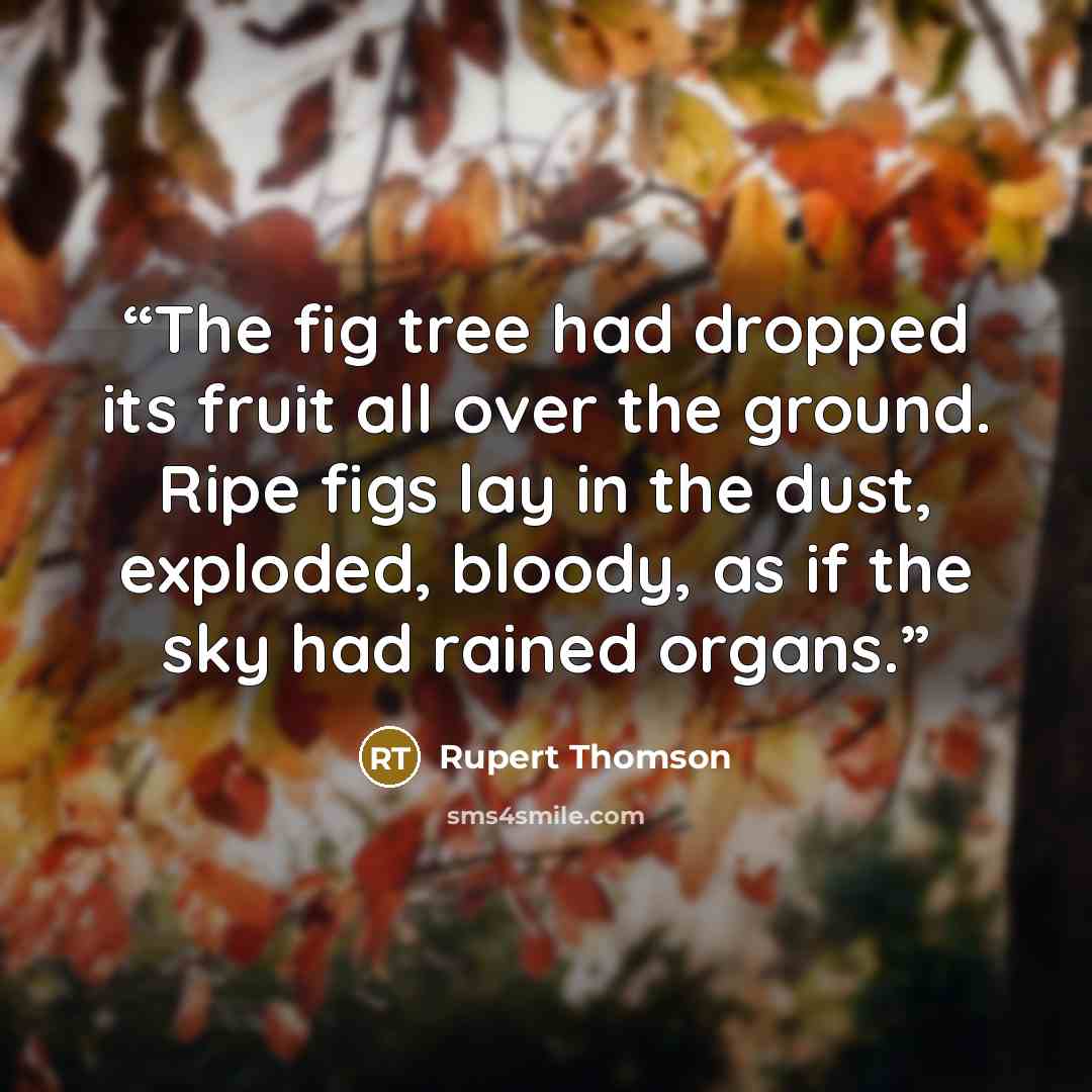 “The fig tree had dropped its fruit all over the ground. Ripe figs lay in the dust, exploded, bloody, as if the sky had rained organs.” quote by Rupert Thomson