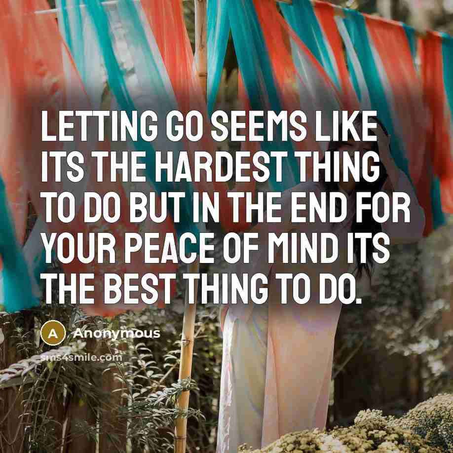 “Letting go seems like its the hardest thing to do but in the end for your peace of mind its the best thing to do.” quote by Anonymous
