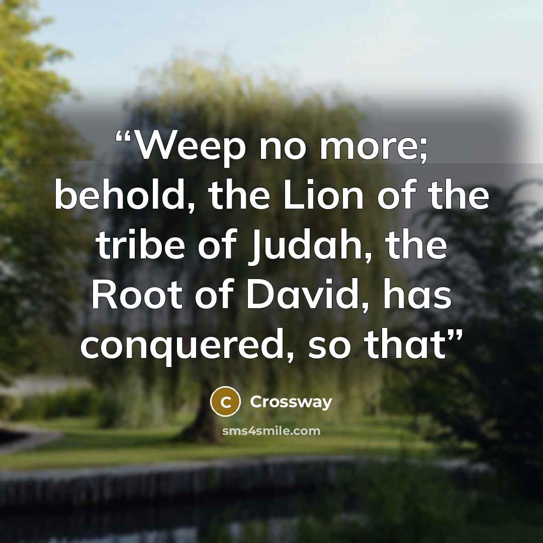 “Weep no more; behold, the Lion of the tribe of Judah, the Root of David, has conquered, so that” quote by Crossway