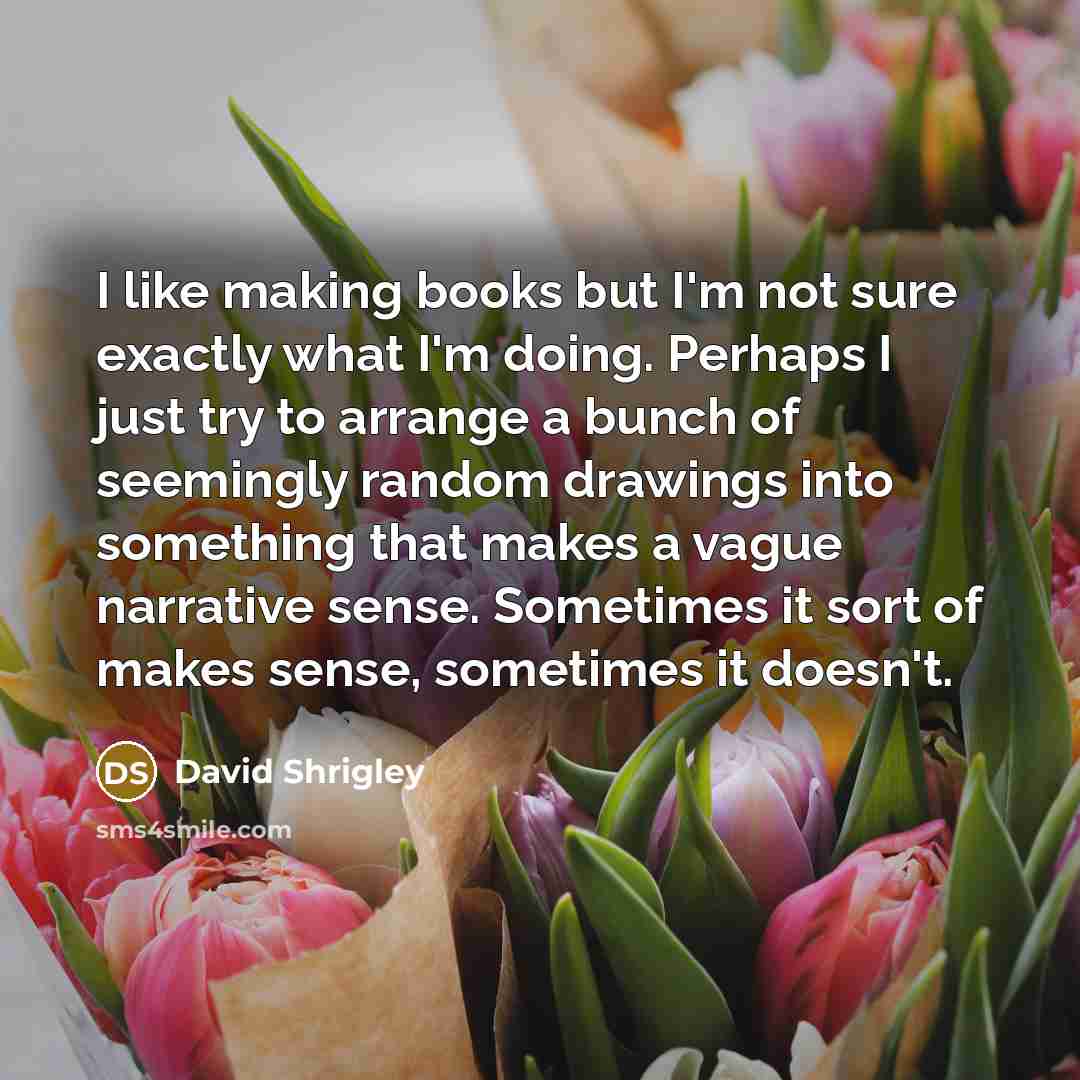 “I like making books but I'm not sure exactly what I'm doing. Perhaps I just try to arrange a bunch of seemingly random drawings into something that makes a vague narrative sense. Sometimes it sort of makes sense, sometimes it doesn't.” quote by David Shrigley