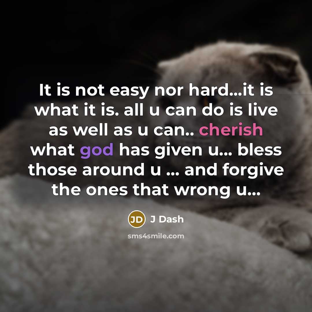 “It is not easy nor hard...it is what it is. all u can do is live as well as u can.. cherish what god has given u... bless those around u … and forgive the ones that wrong u…” quote by J Dash