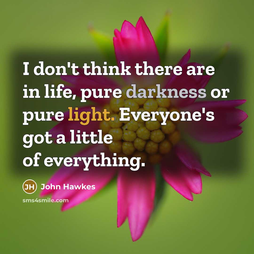 “I don't think there are in life, pure darkness or pure light. Everyone's got a little of everything.” quote by John Hawkes