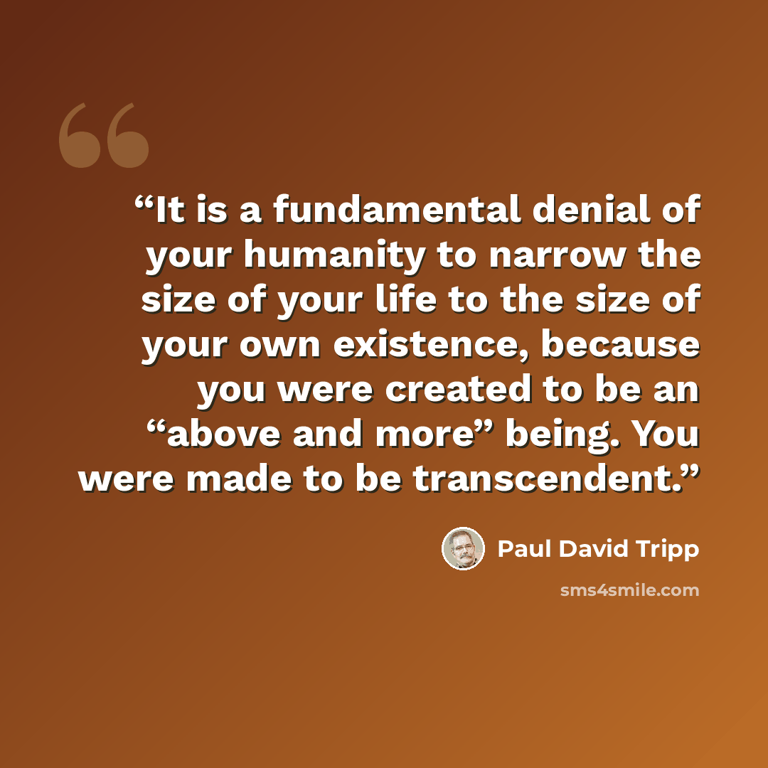 “It is a fundamental denial of your humanity to narrow the size of your life to the size of your own existence, because you were created to be an “above and more” being. You were made to be transcendent.” quote by Paul David Tripp