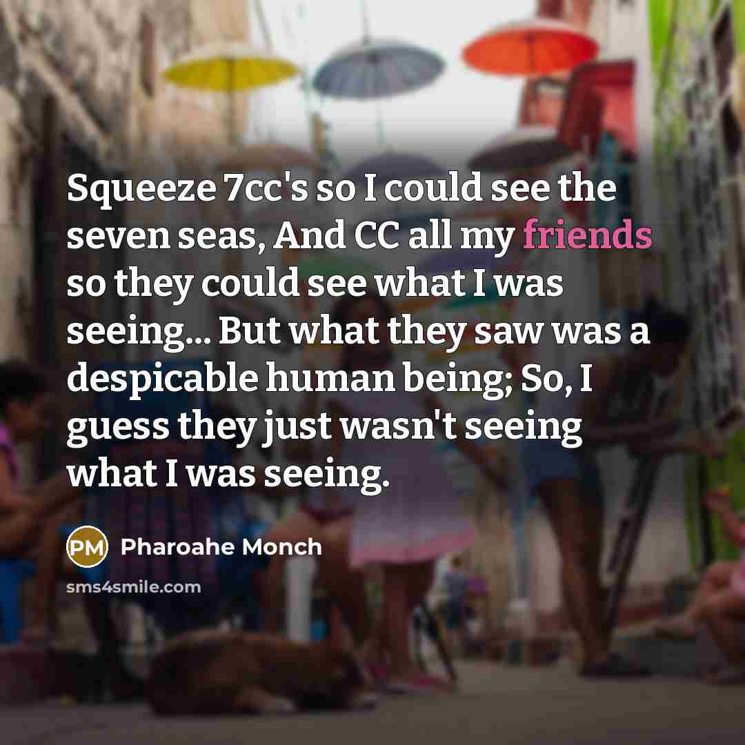 “Squeeze 7cc's so I could see the seven seas, And CC all my friends so they could see what I was seeing... But what they saw was a despicable human being; So, I guess they just wasn't seeing what I was seeing.” quote by Pharoahe Monch