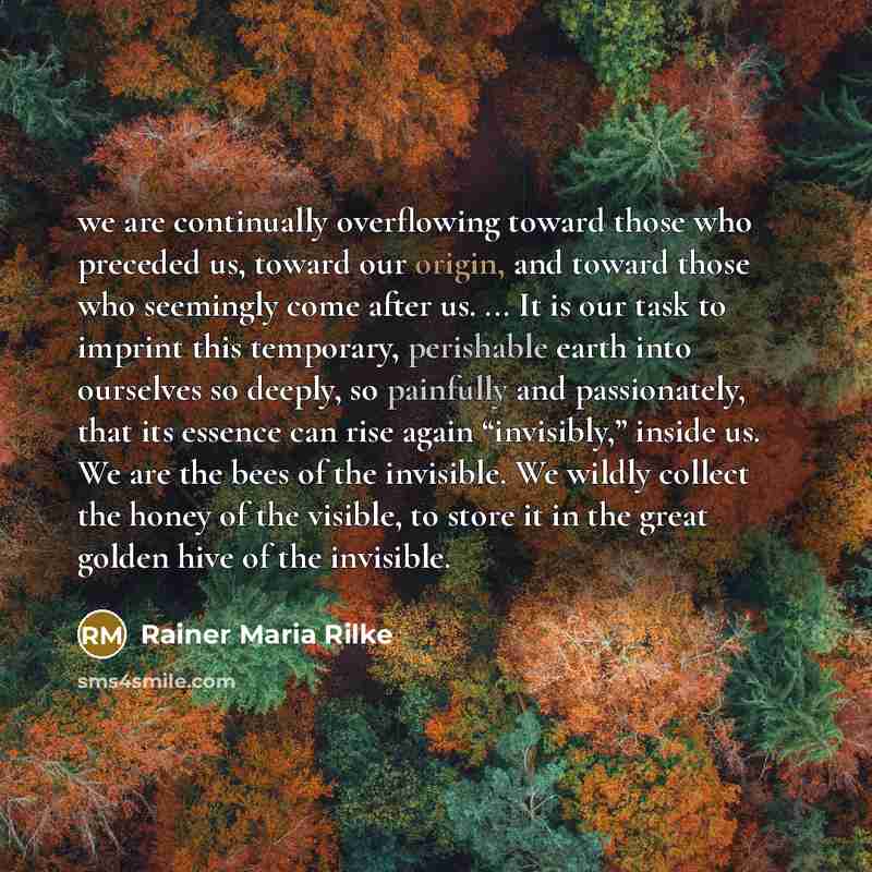 “we are continually overflowing toward those who preceded us, toward our origin, and toward those who seemingly come after us. ... It is our task to imprint this temporary, perishable earth into ourselves so deeply, so painfully and passionately, that its essence can rise again “invisibly,” inside…” quote by Rainer Maria Rilke