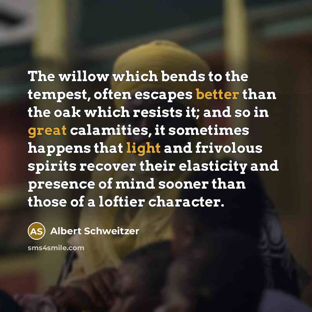 “The willow which bends to the tempest, often escapes better than the oak which resists it; and so in great calamities, it sometimes happens that light and frivolous spirits recover their elasticity and presence of mind sooner than those of a loftier character.” quote by Albert Schweitzer