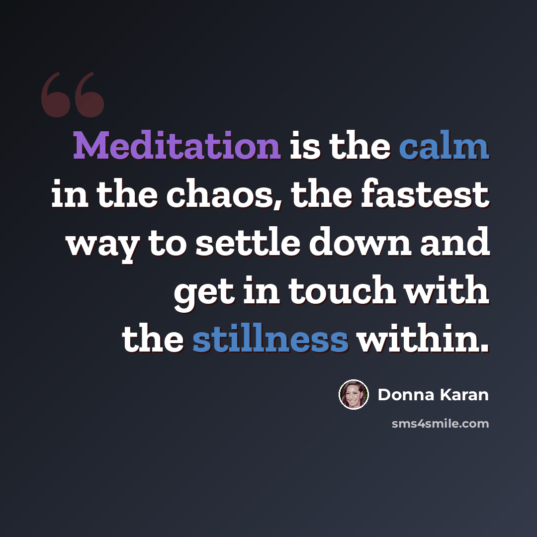“Meditation is the calm in the chaos, the fastest way to settle down and get in touch with the stillness within.” quote by Donna Karan