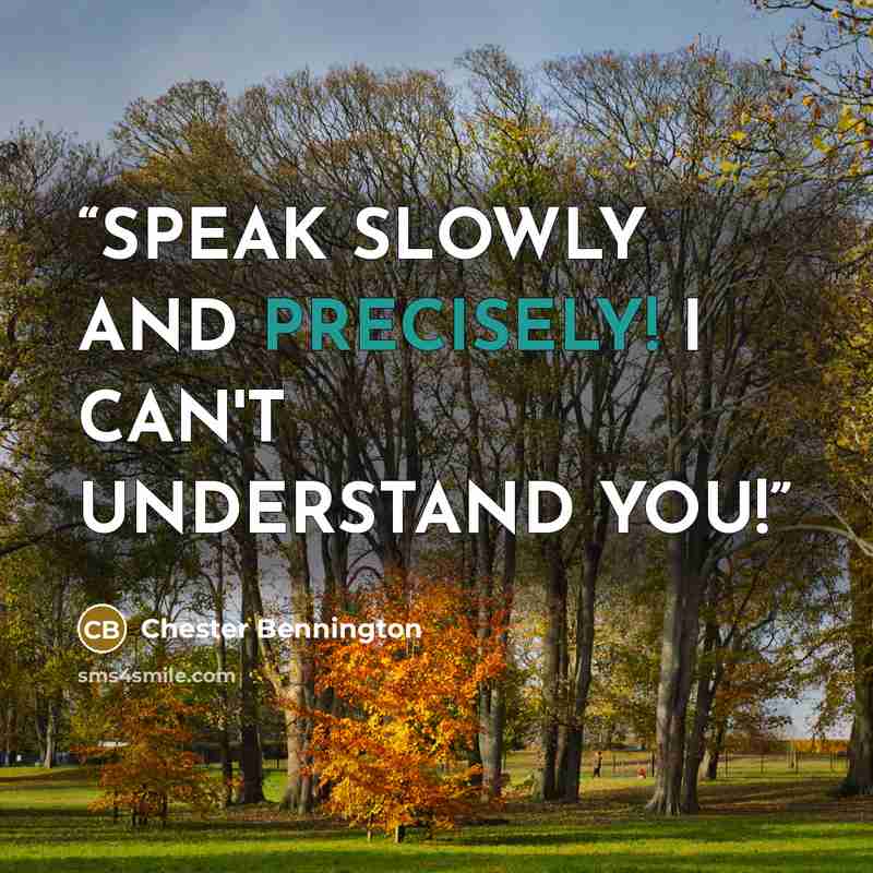 “SPEAK SLOWLY AND PRECISELY! I CAN'T UNDERSTAND YOU!” quote by Chester Bennington