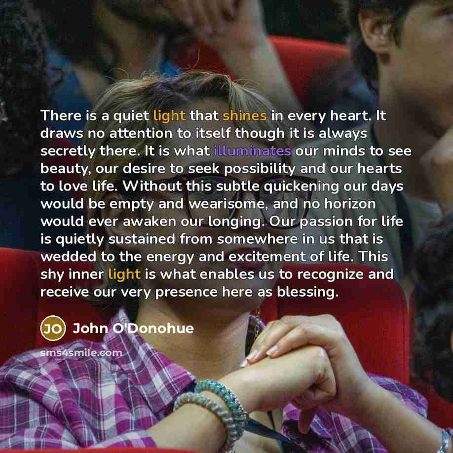 “There is a quiet light that shines in every heart. It draws no attention to itself though it is always secretly there. It is what illuminates our minds to see beauty, our desire to seek possibility and our hearts to love life. Without this subtle quickening our days would be empty and wearisome…” quote by John O'Donohue