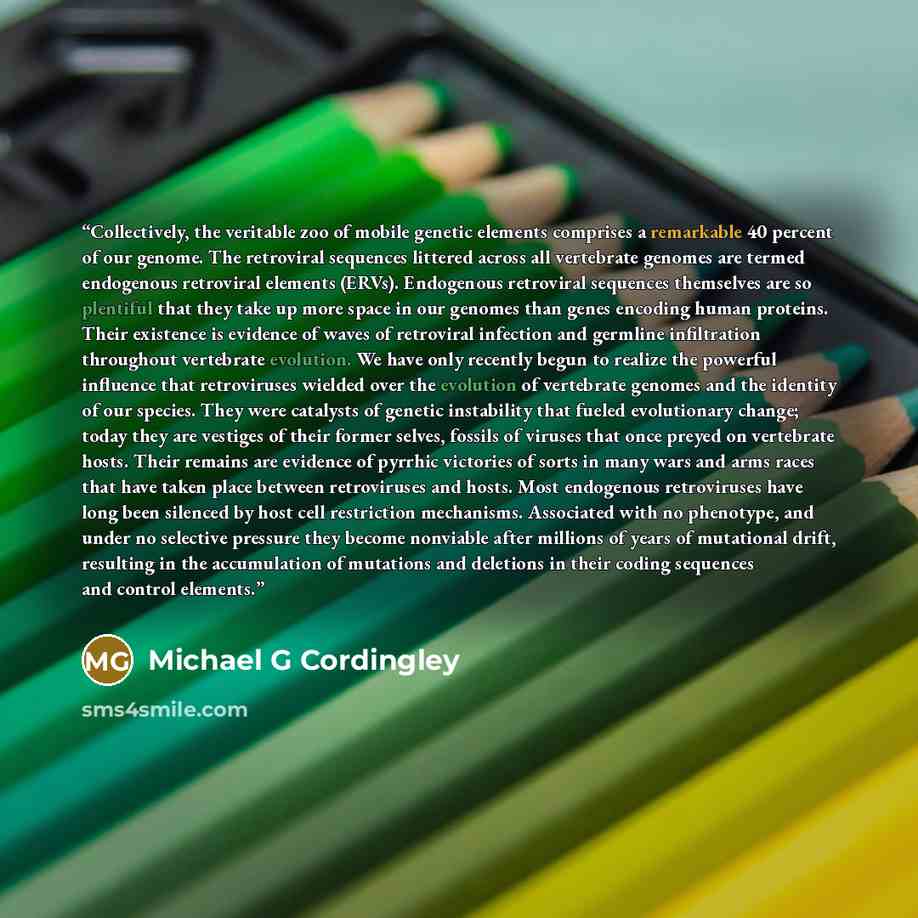 “Collectively, the veritable zoo of mobile genetic elements comprises a remarkable 40 percent of our genome. The retroviral sequences littered across all vertebrate genomes are termed endogenous retroviral elements (ERVs). Endogenous retroviral sequences themselves are so plentiful that they take…” quote by Michael G Cordingley