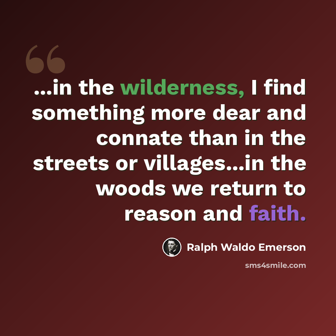 “...in the wilderness, I find something more dear and connate than in the streets or villages...in the woods we return to reason and faith.” quote by Ralph Waldo Emerson