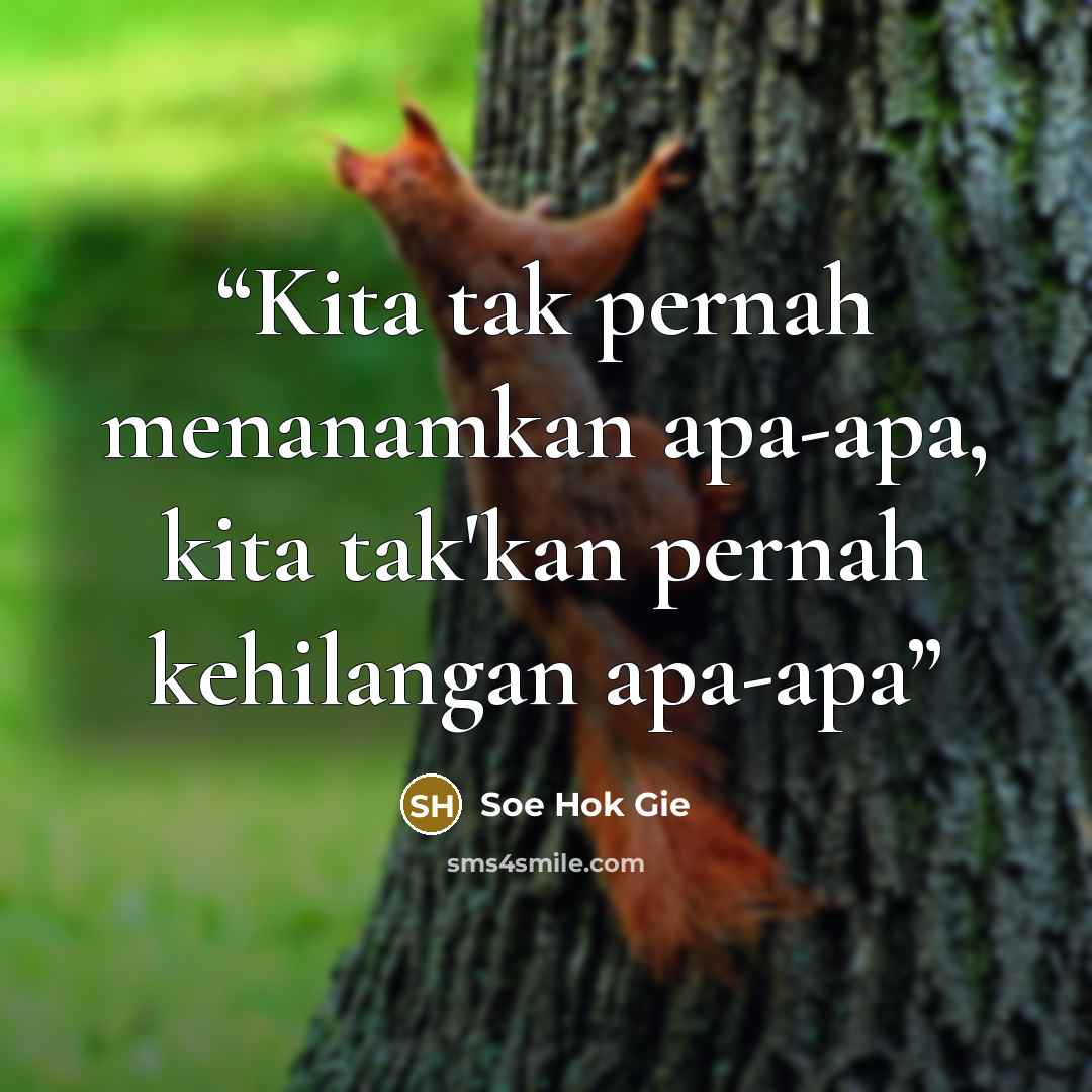 “Kita tak pernah menanamkan apa-apa, kita tak'kan pernah kehilangan apa-apa” quote by Soe Hok Gie