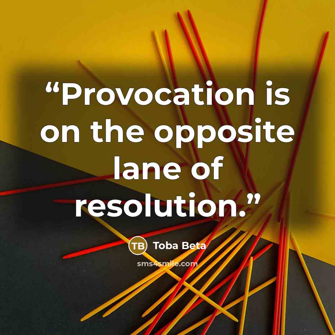 “Provocation is on the opposite lane of resolution.” quote by Toba Beta
