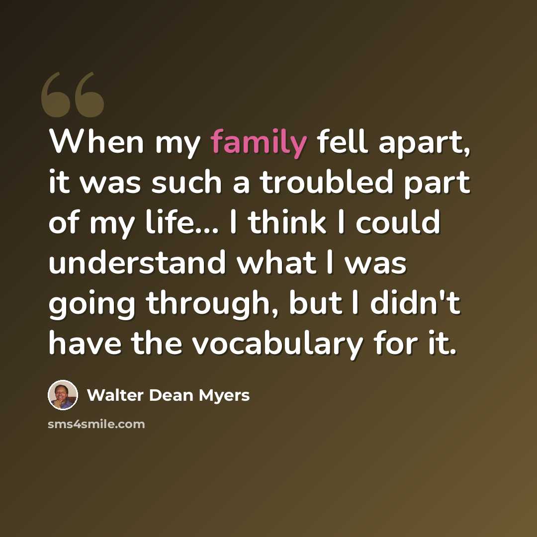 “When my family fell apart, it was such a troubled part of my life... I think I could understand what I was going through, but I didn't have the vocabulary for it.” quote by Walter Dean Myers