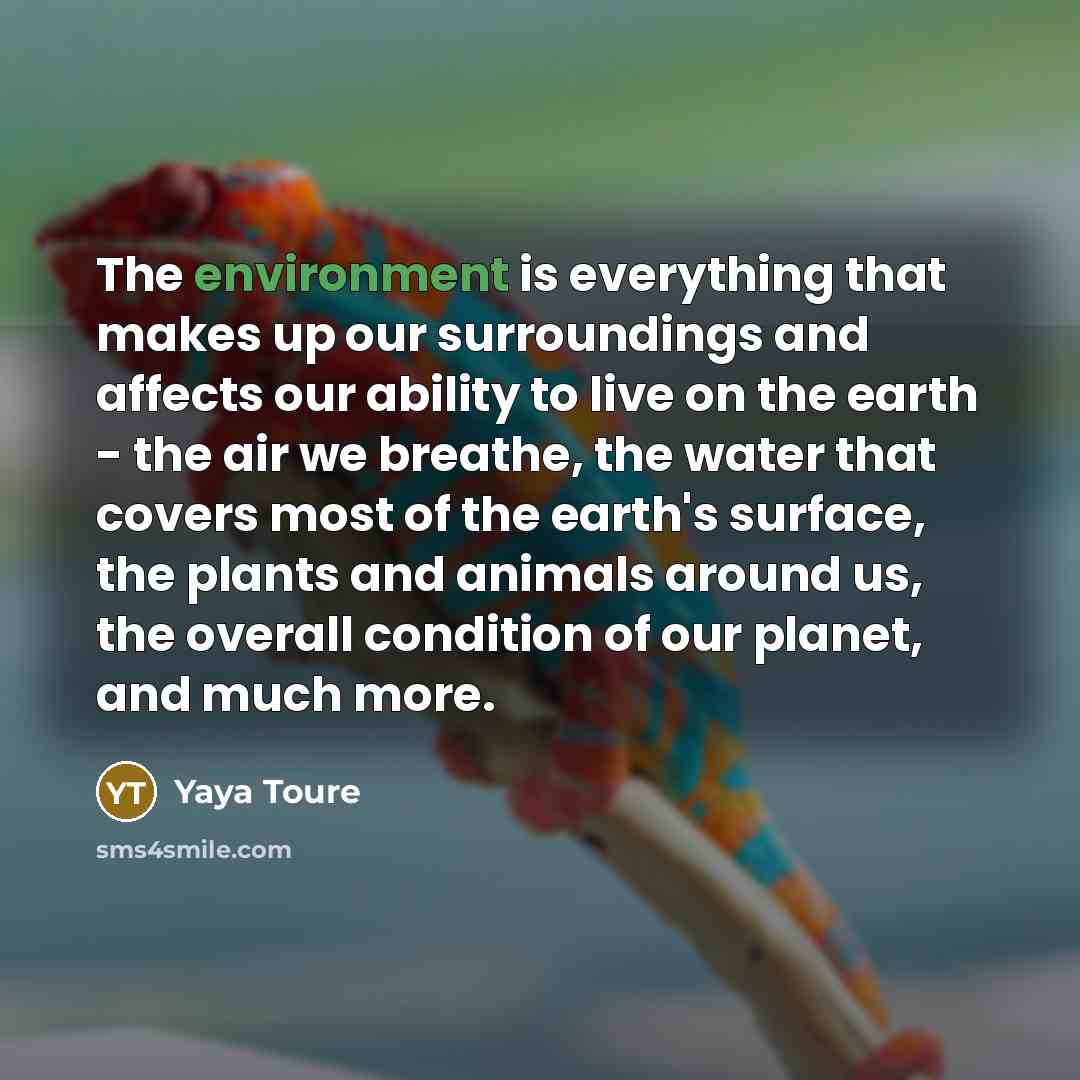“The environment is everything that makes up our surroundings and affects our ability to live on the earth - the air we breathe, the water that covers most of the earth's surface, the plants and animals around us, the overall condition of our planet, and much more.” quote by Yaya Toure
