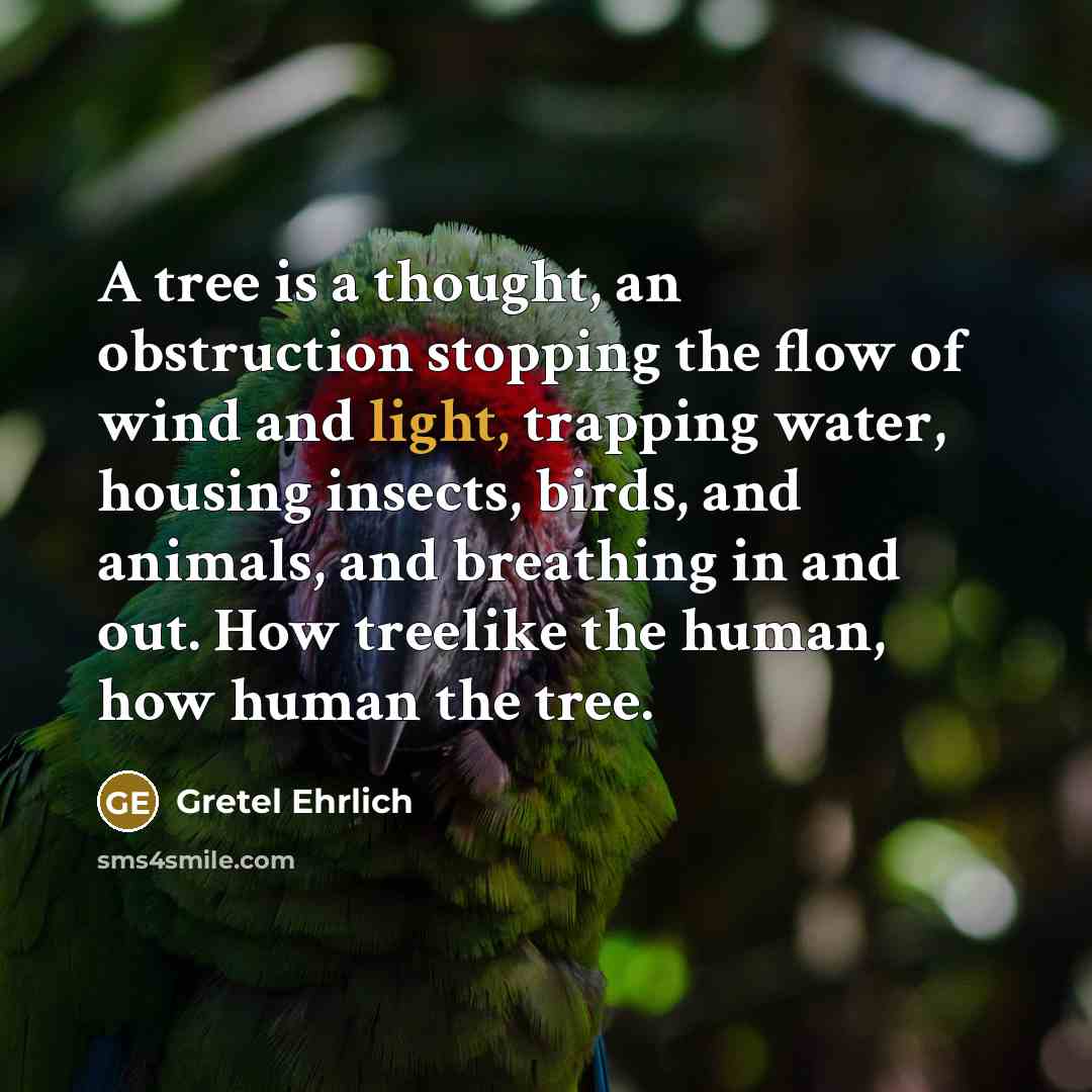 “A tree is a thought, an obstruction stopping the flow of wind and light, trapping water, housing insects, birds, and animals, and breathing in and out. How treelike the human, how human the tree.” quote by Gretel Ehrlich