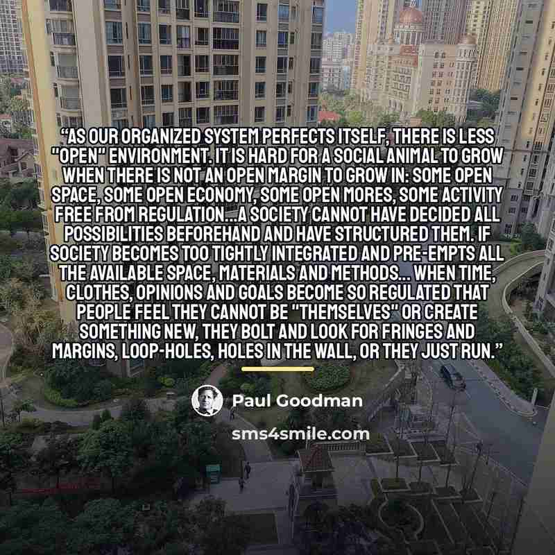 “As our organized system perfects itself, there is less "open" environment. It is hard for a social animal to grow when there is not an open margin to grow in: some open space, some open economy, some open mores, some activity free from regulation...A society cannot have decided all possibilities…” quote by Paul Goodman