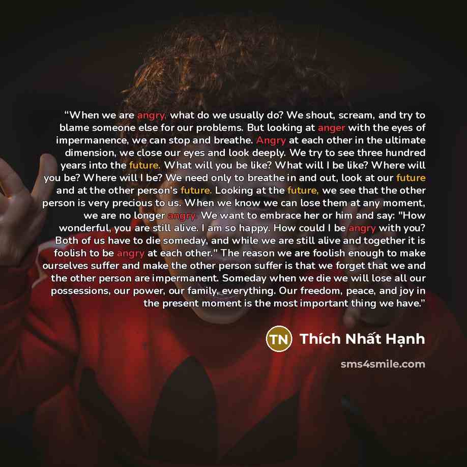 “When we are angry, what do we usually do? We shout, scream, and try to blame someone else for our problems. But looking at anger with the eyes of impermanence, we can stop and breathe. Angry at each other in the ultimate dimension, we close our eyes and look deeply. We try to see three hundred…” quote by Thích Nhất Hạnh