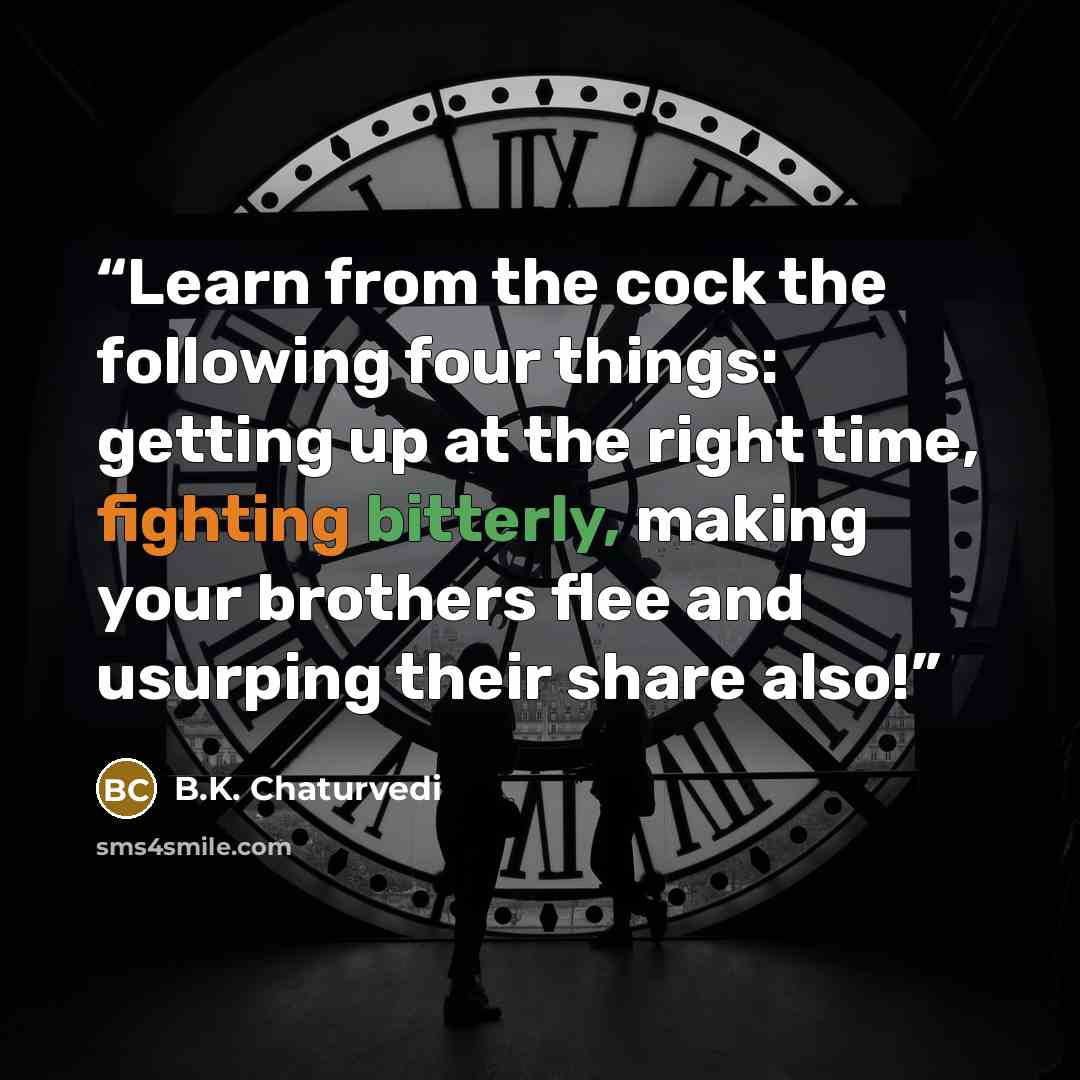 “Learn from the cock the following four things: getting up at the right time, fighting bitterly, making your brothers flee and usurping their share also!” quote by B.K. Chaturvedi