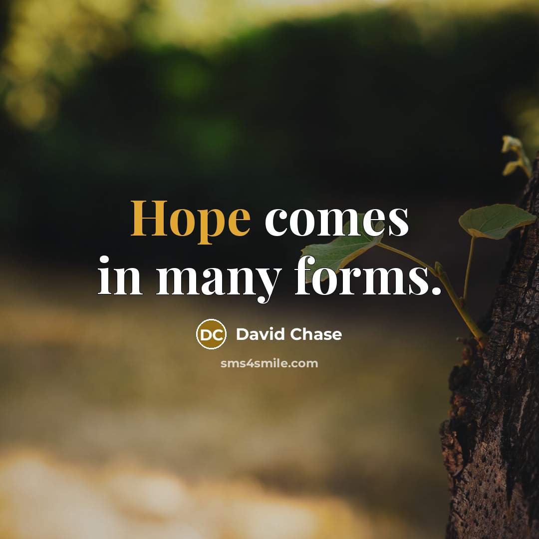 “Hope comes in many forms.” quote by David Chase