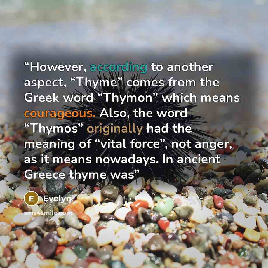 “However, according to another aspect, “Thyme” comes from the Greek word “Thymon” which means courageous. Also, the word “Thymos” originally had the meaning of “vital force”, not anger, as it means nowadays. In ancient Greece thyme was” quote by Evelyn