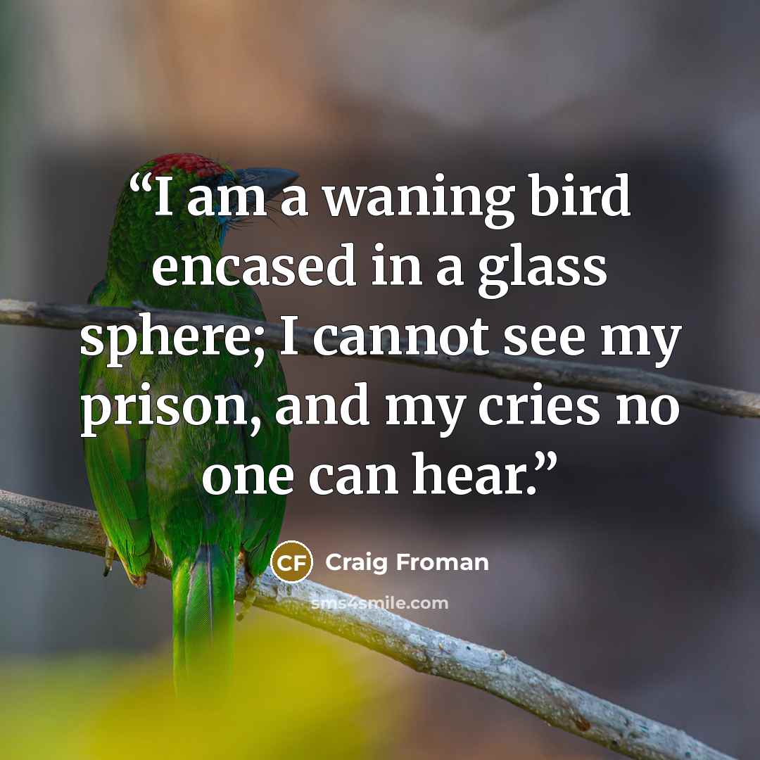 “I am a waning bird encased in a glass sphere; I cannot see my prison, and my cries no one can hear.” quote by Craig Froman