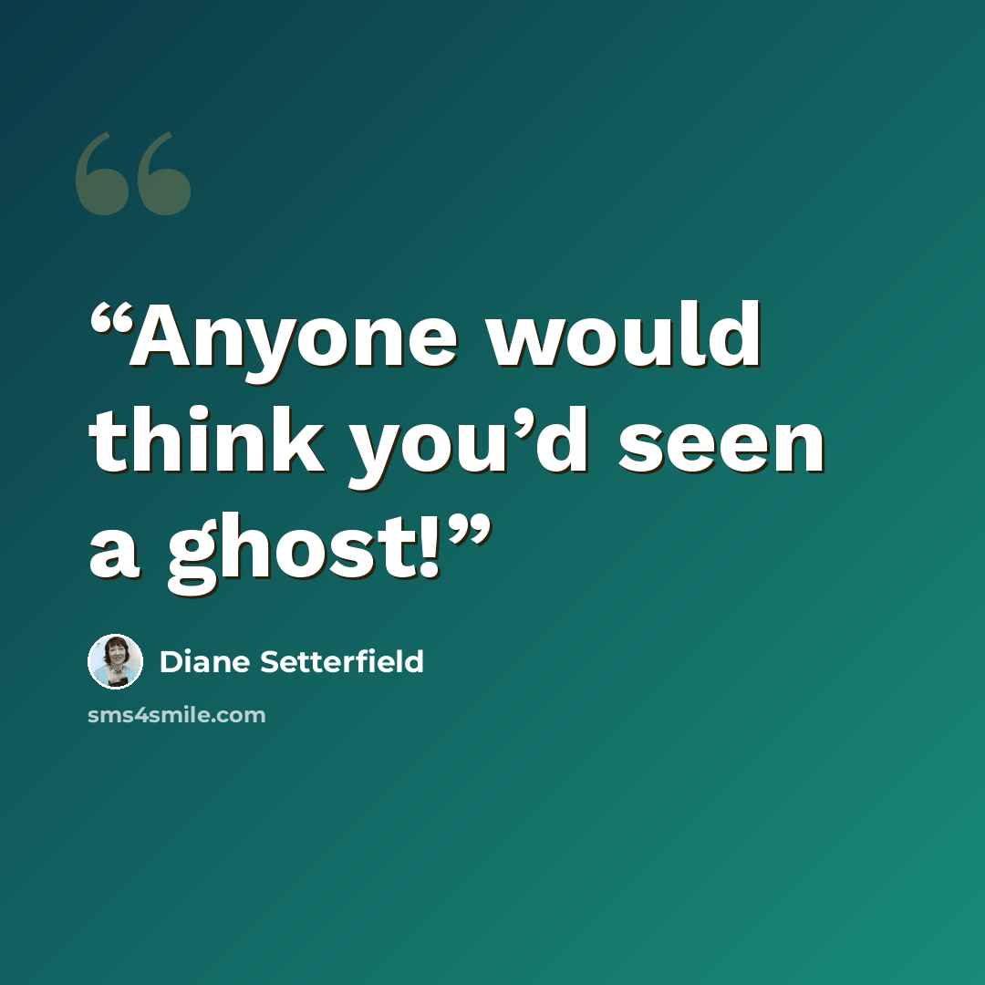 “Anyone would think you’d seen a ghost!” quote by Diane Setterfield