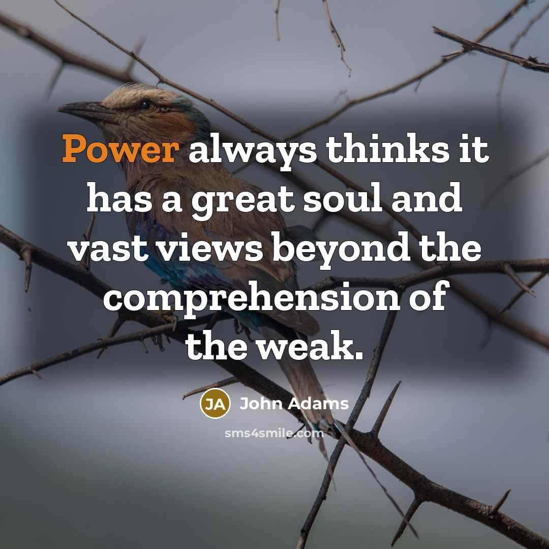 “Power always thinks it has a great soul and vast views beyond the comprehension of the weak.” quote by John Adams