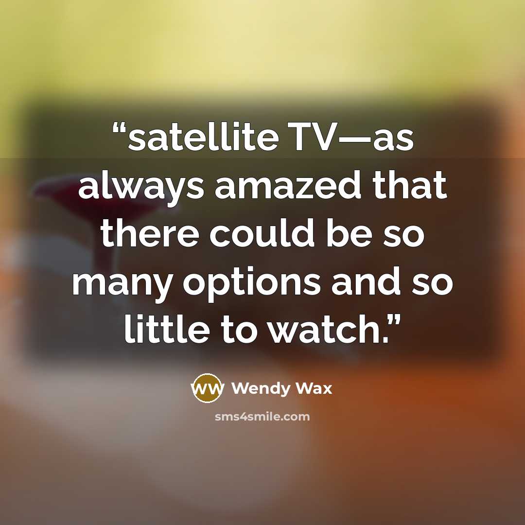 “satellite TV—as always amazed that there could be so many options and so little to watch.” quote by Wendy Wax
