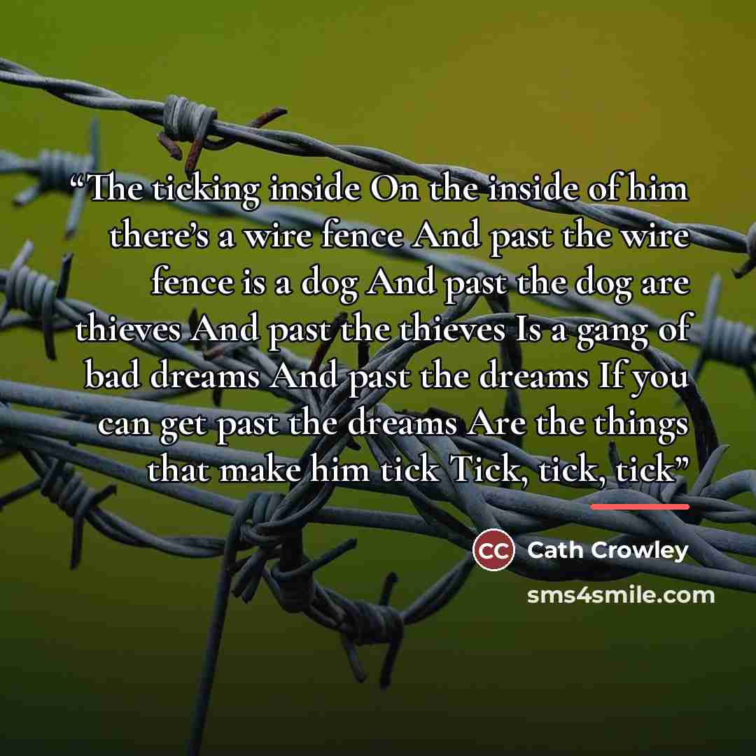 “The ticking inside On the inside of him there’s a wire fence And past the wire fence is a dog And past the dog are thieves And past the thieves Is a gang of bad dreams And past the dreams If you can get past the dreams Are the things that make him tick Tick, tick, tick” quote by Cath Crowley