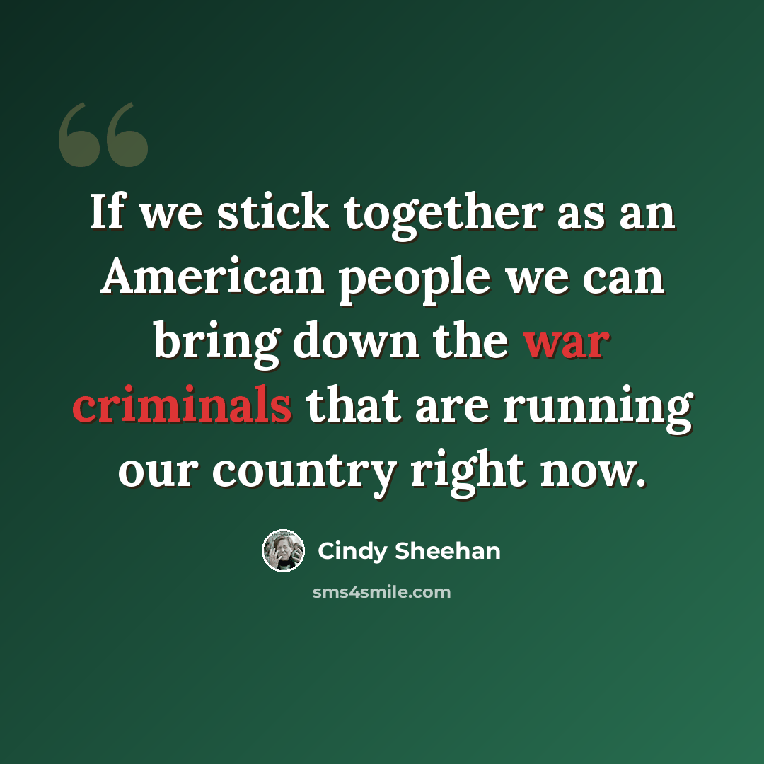 “If we stick together as an American people we can bring down the war criminals that are running our country right now.” quote by Cindy Sheehan