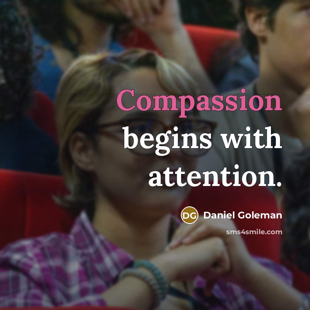 “Compassion begins with attention.” quote by Daniel Goleman