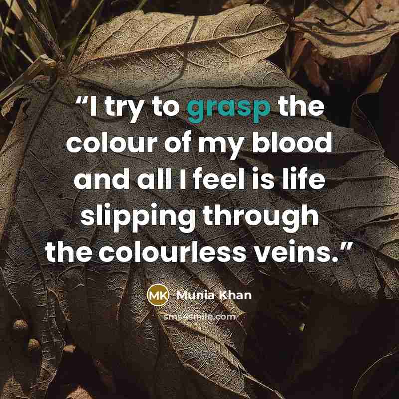 “I try to grasp the colour of my blood and all I feel is life slipping through the colourless veins.” quote by Munia Khan