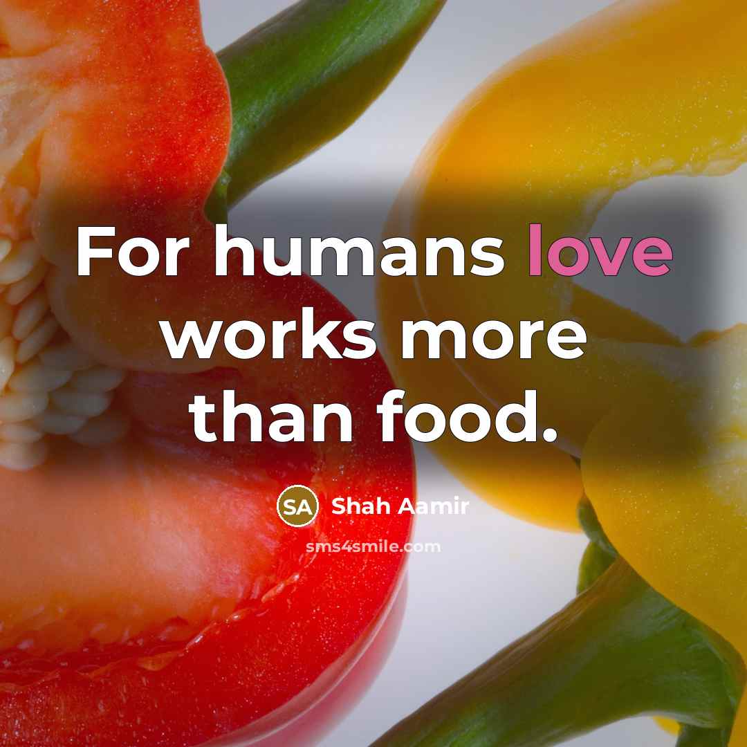 “For humans love works more than food.” quote by Shah Aamir