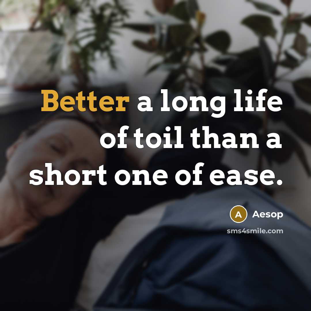 “Better a long life of toil than a short one of ease.” quote by Aesop