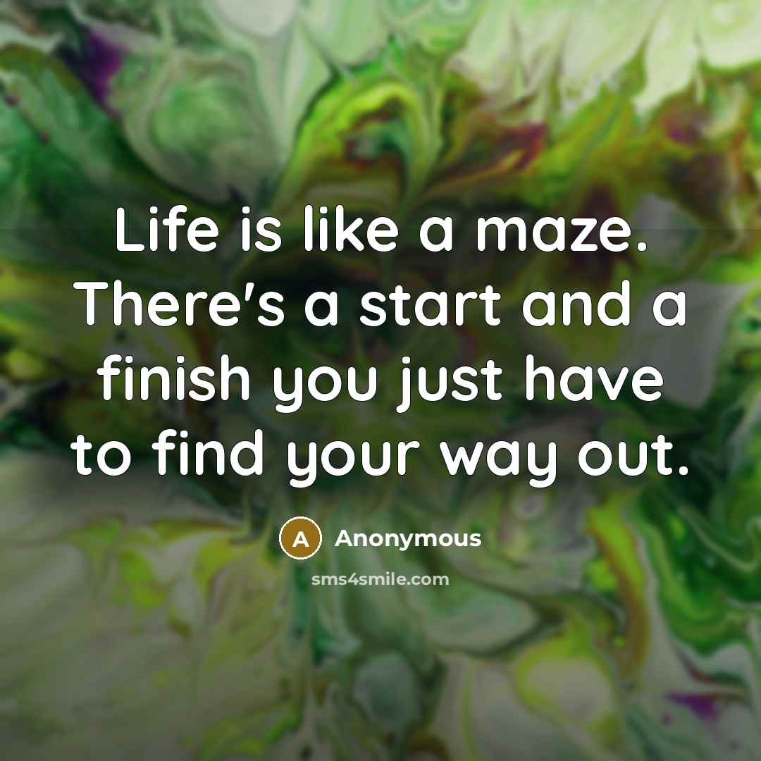 “Life is like a maze. There's a start and a finish you just have to find your way out.” quote by Anonymous