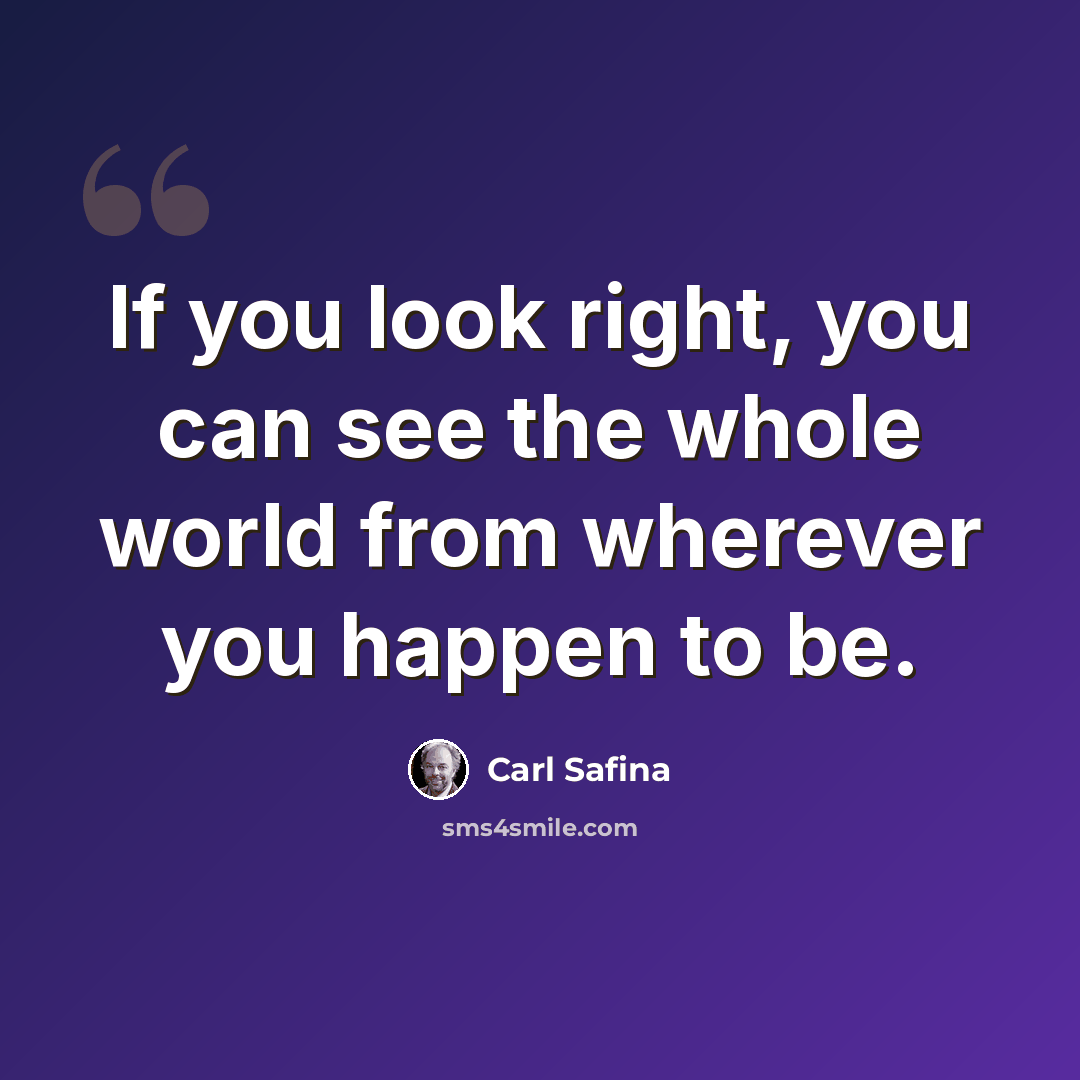 “If you look right, you can see the whole world from wherever you happen to be.” quote by Carl Safina